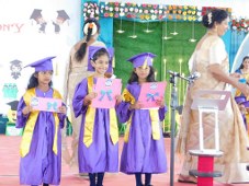 Plants: image 3 0f 4 thumb